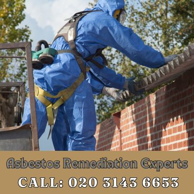 Asbestos Remediation Experts Charlton