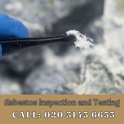 Comprehensive Asbestos Inspection and Testing Services in Charlton